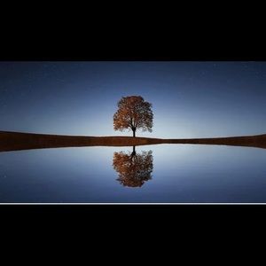 Meet your Posher, Jobina